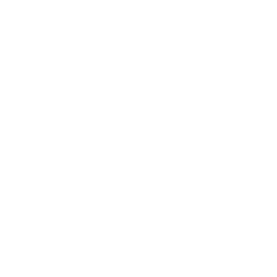 Saint John Trail Running logo