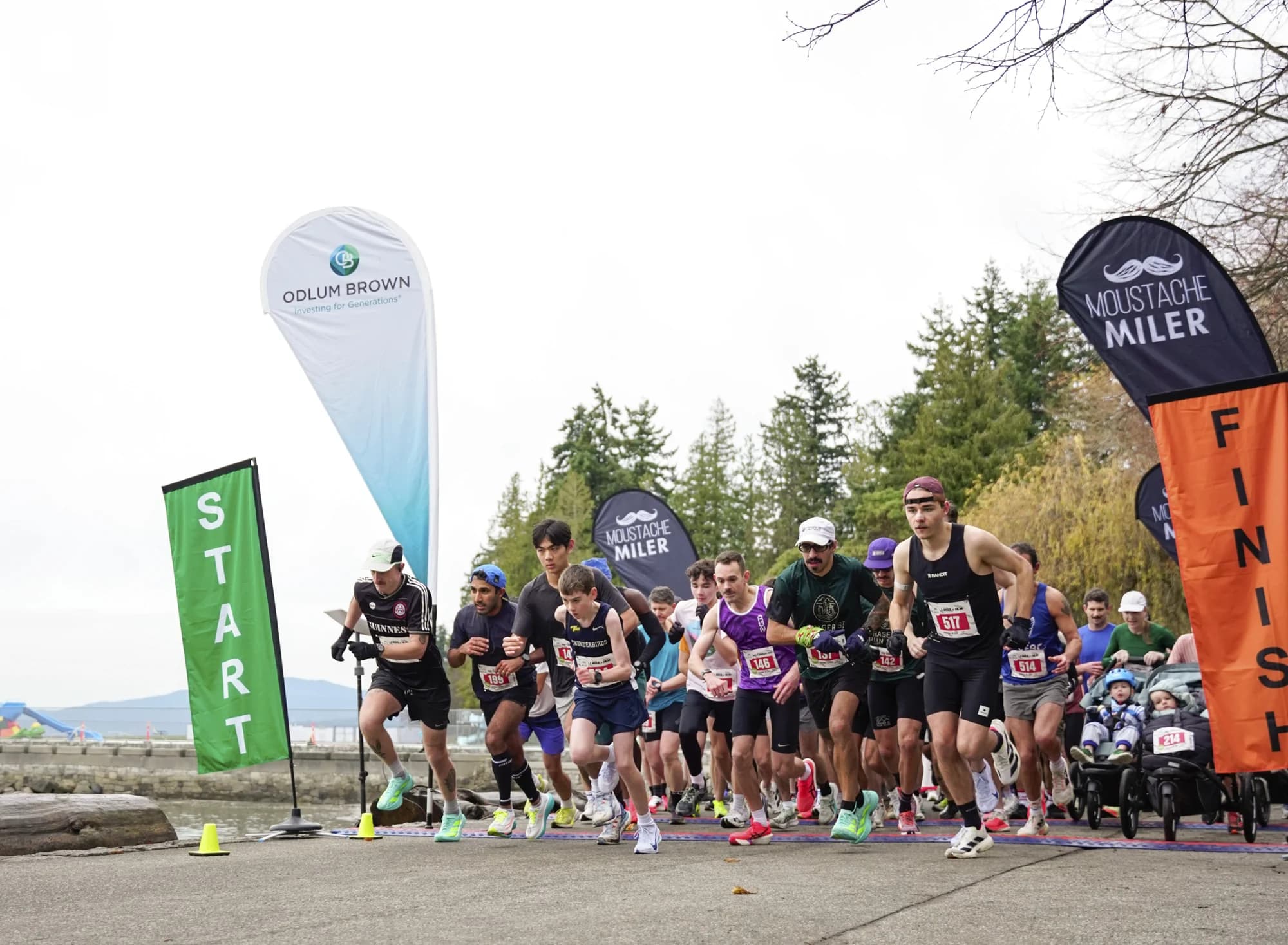 Odlum Brown Moustache Miler 2026