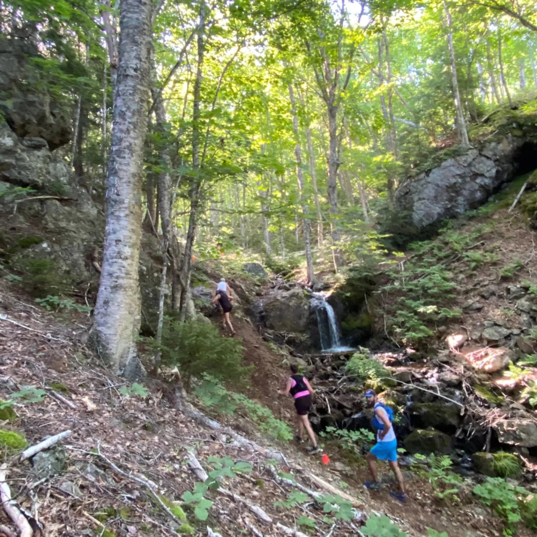Ghastly Gorge Grind 2026 photo 2