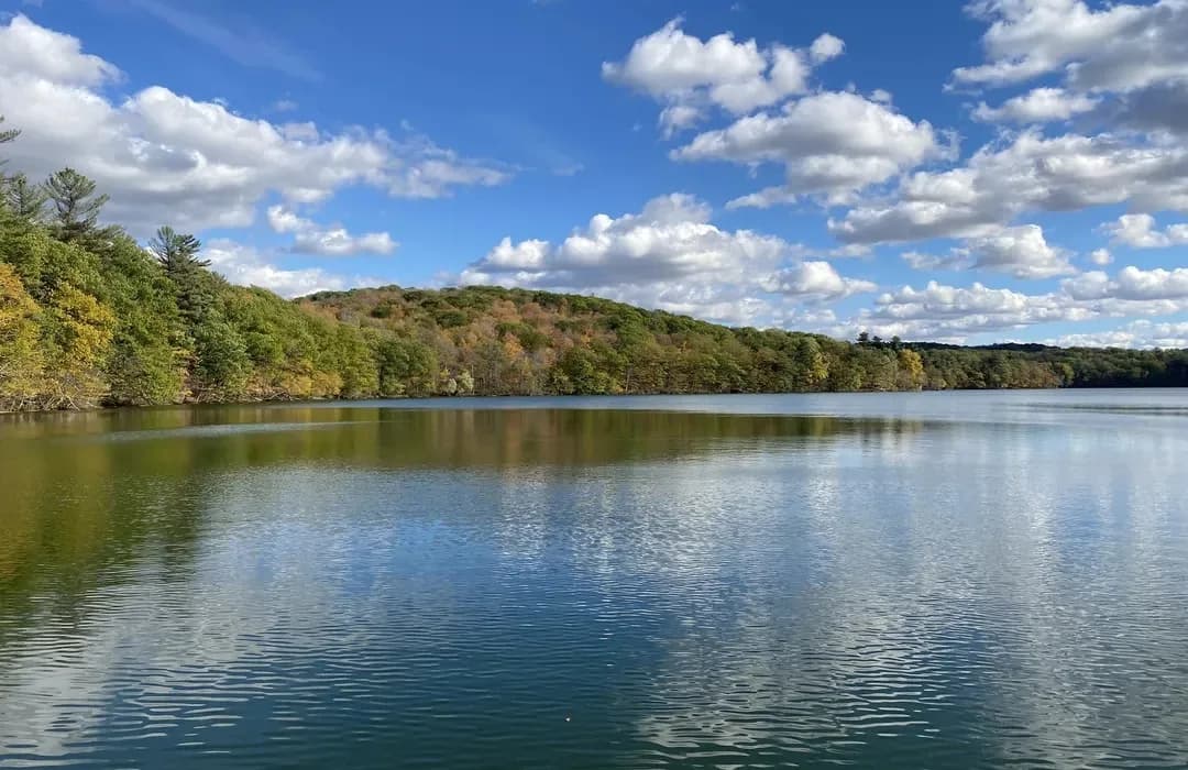 La Grande virée des sentiers du Mont-Saint-Bruno présentée par Stelpro 2025
