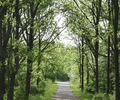Twelve Mile Creek Trail Half Marathon 2025
